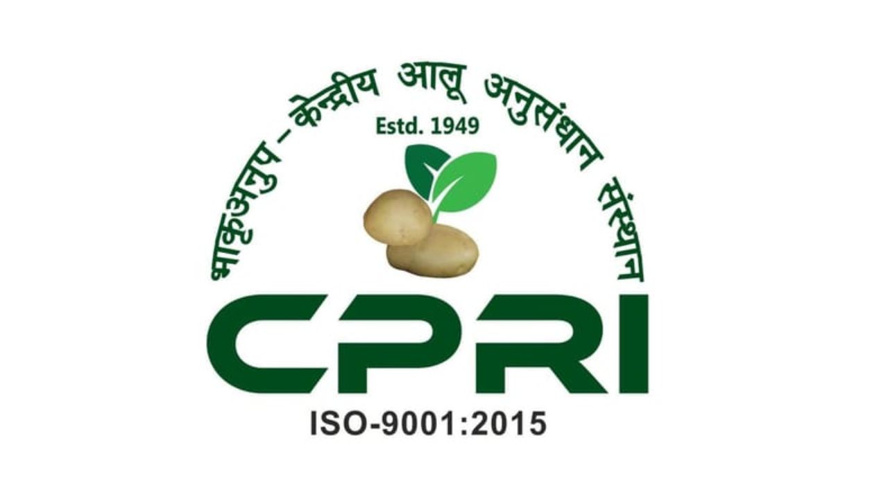 ICAR-CPRI मोदीपुरम में 1,500 क्विंटल आलू की नीलामी — 20-21 अप्रैल 2026